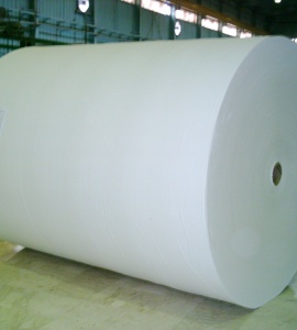 Jumbo Rolls - Gulf Paper Manufacturing Company - UAE
